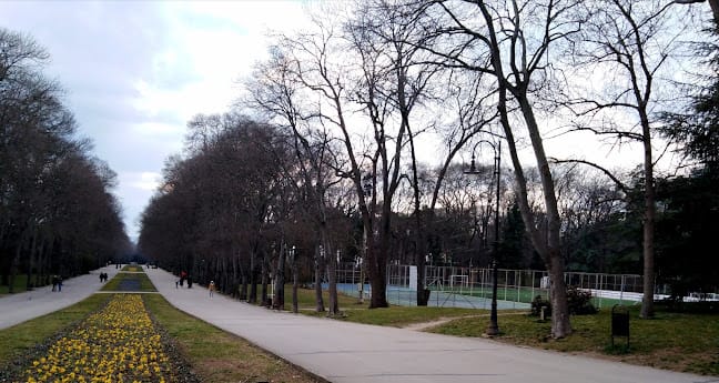 морска градина 