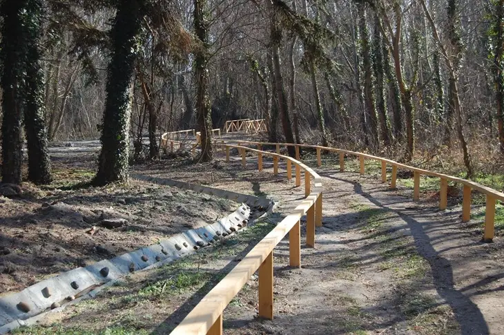 пътеки в гората