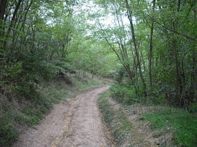 екопътека барите