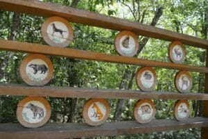 дървени пънчета с нарисувани животни