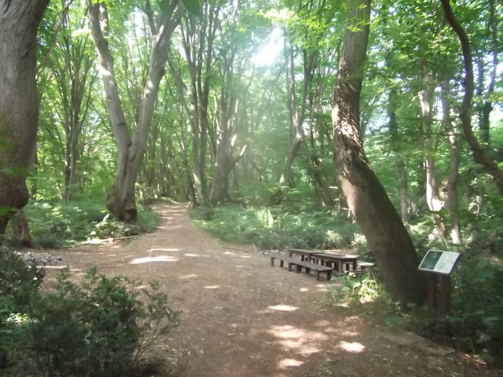 природен парк златни пясъци