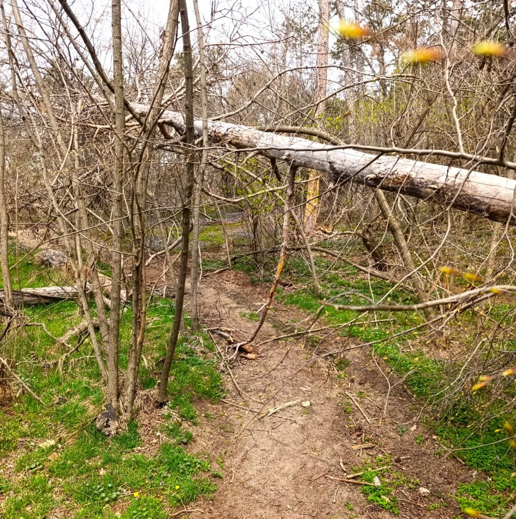 маршрут тракийска чешма