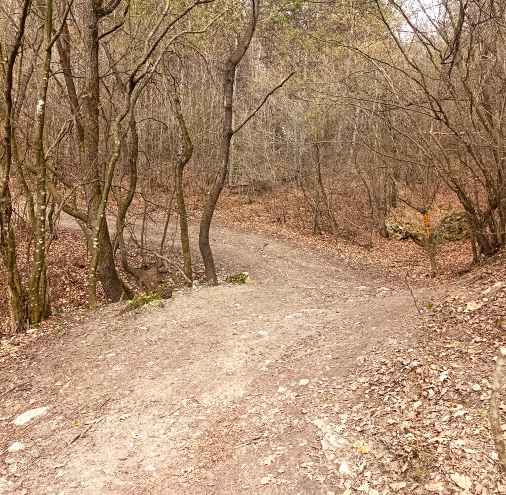 зелен маршрут