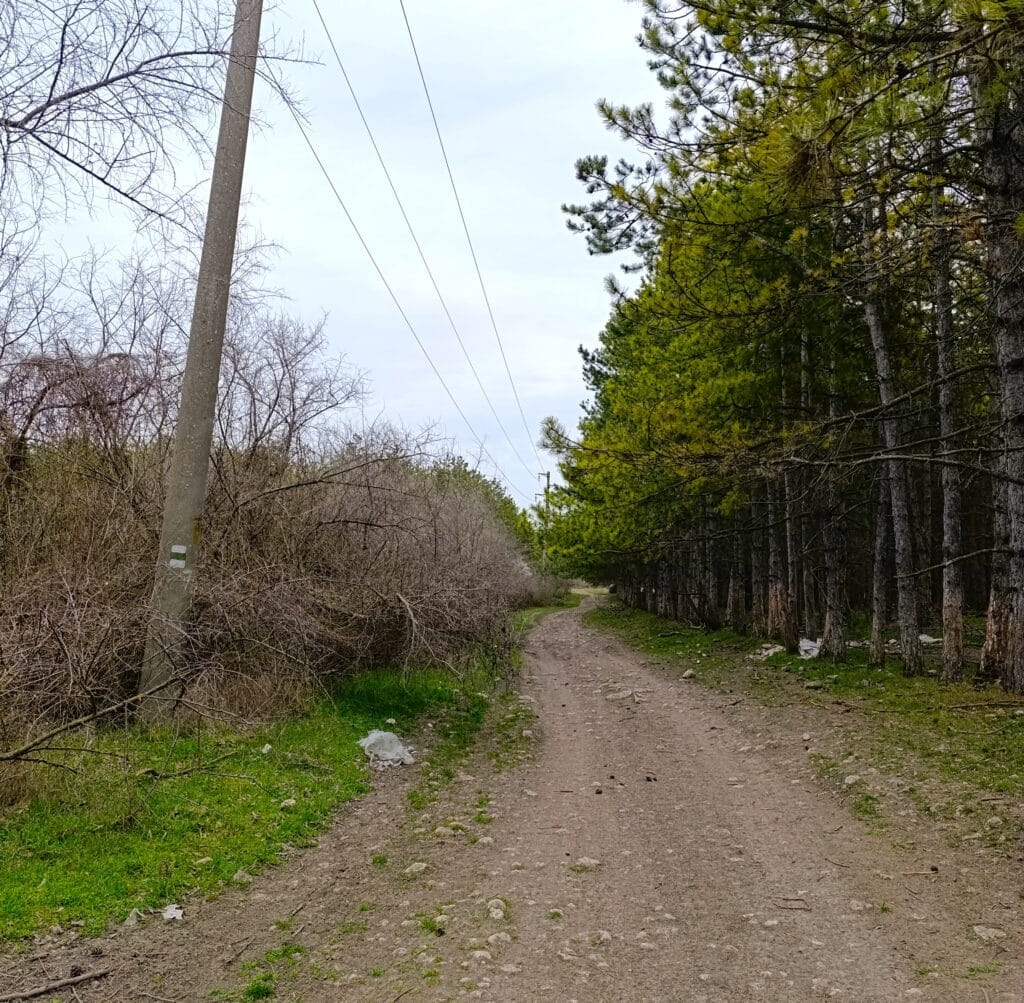 зелена маркировка Тракийска чешма