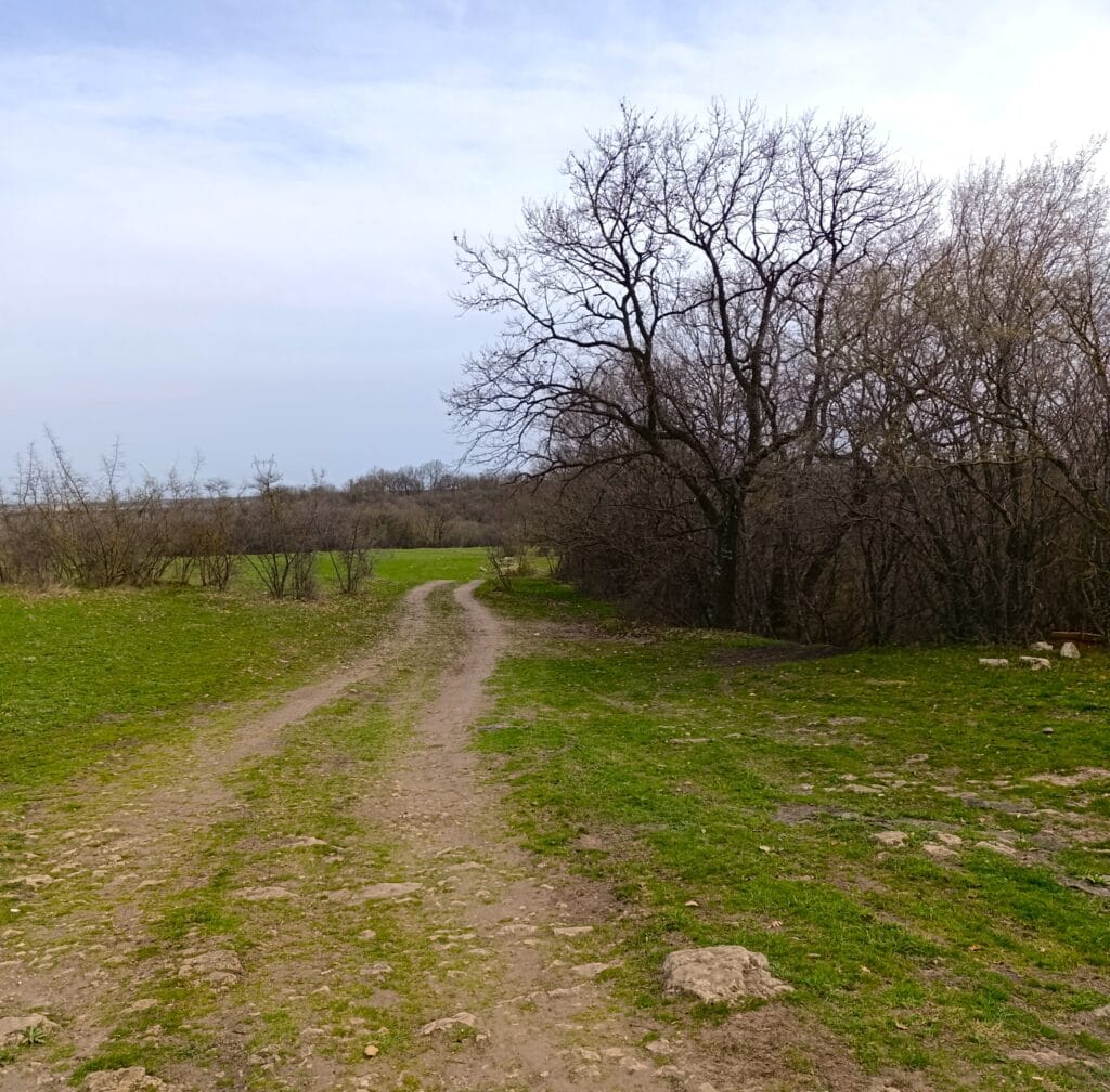 мюхлюз кале/ зелена маркировка