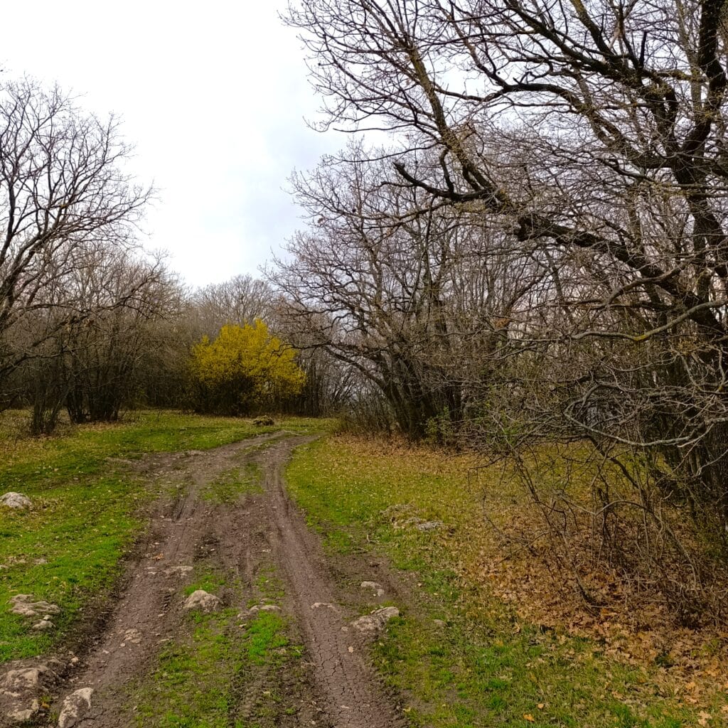 тракийска чешма