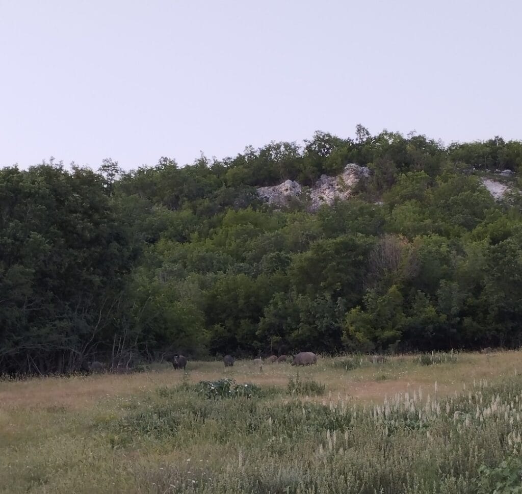 екопарк геранеа