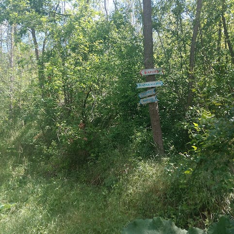 барите