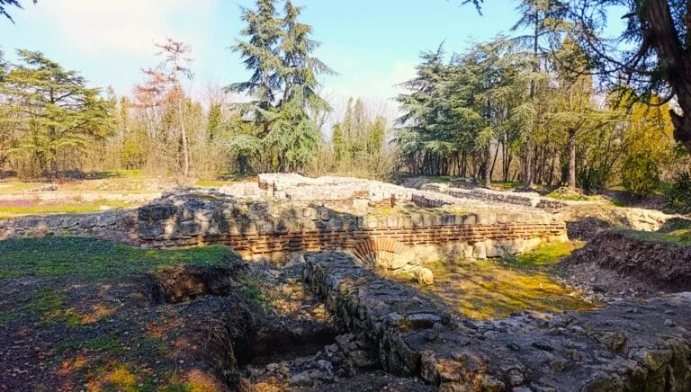 шкорпилова базилика