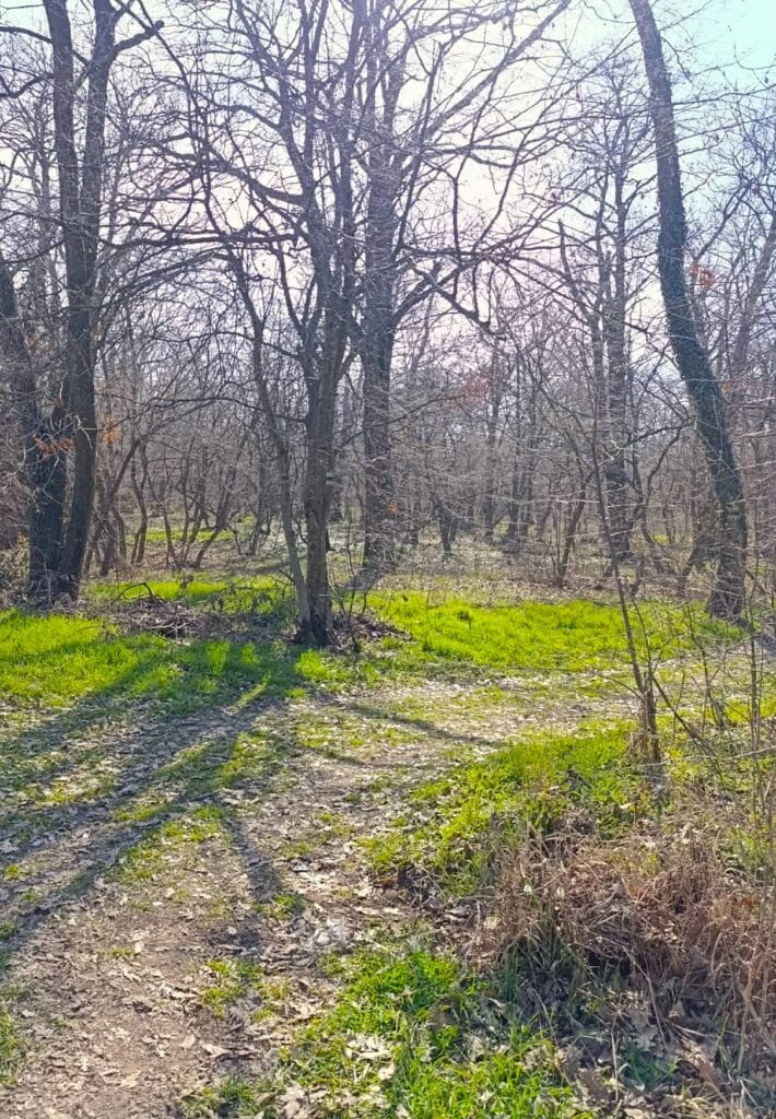 синя маркировка гора