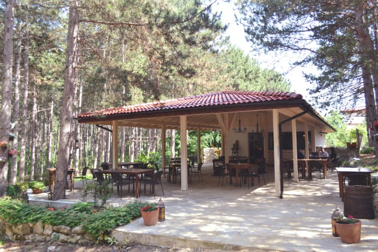 forest food house
