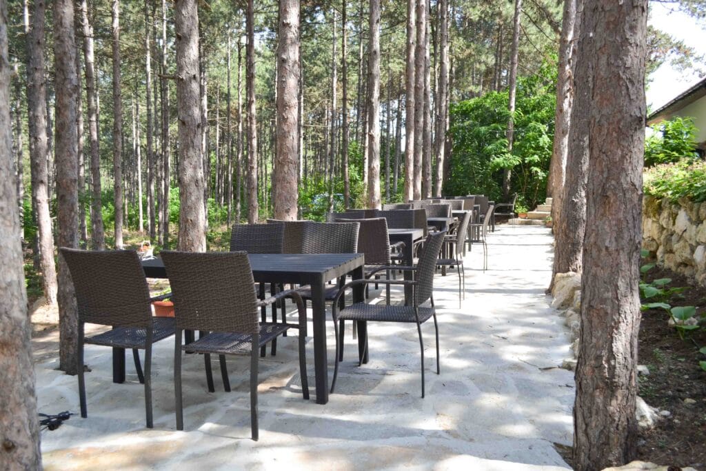 forest food house